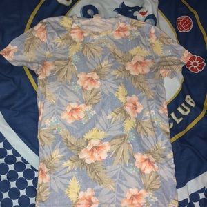 Hollister T-Shirt. GREAT CONDITION!!!